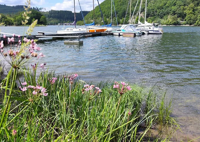 Apartment Am Diemelsee- Sauerland Naehe Willingen Winterberg By Interhome Heringhausen